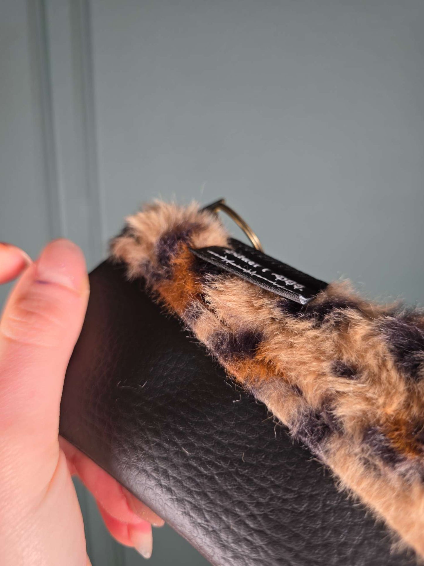 Animal Zip Wallet, Leo