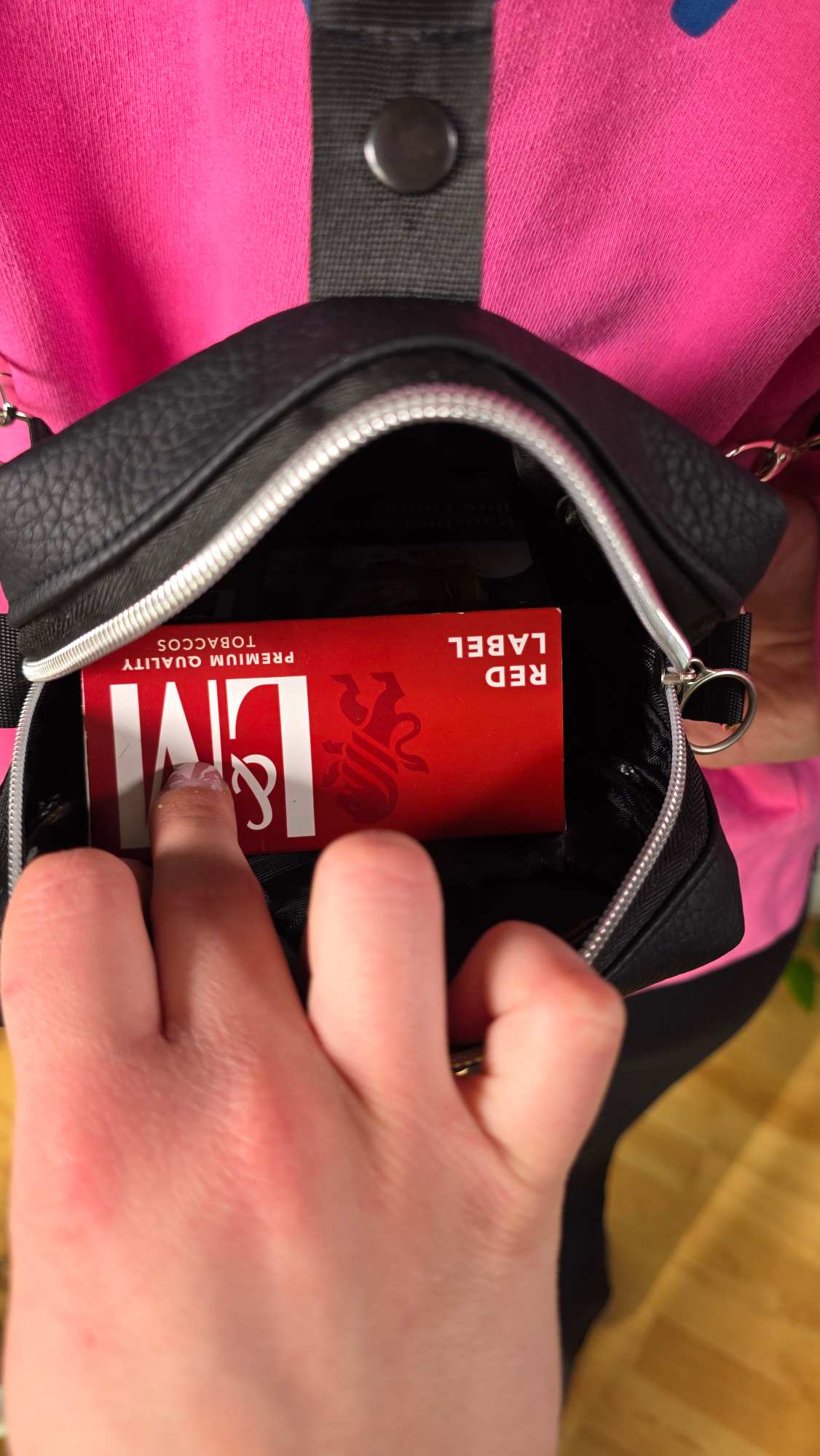 1.2 Mini Transformer, Backpack, Handbag Combi